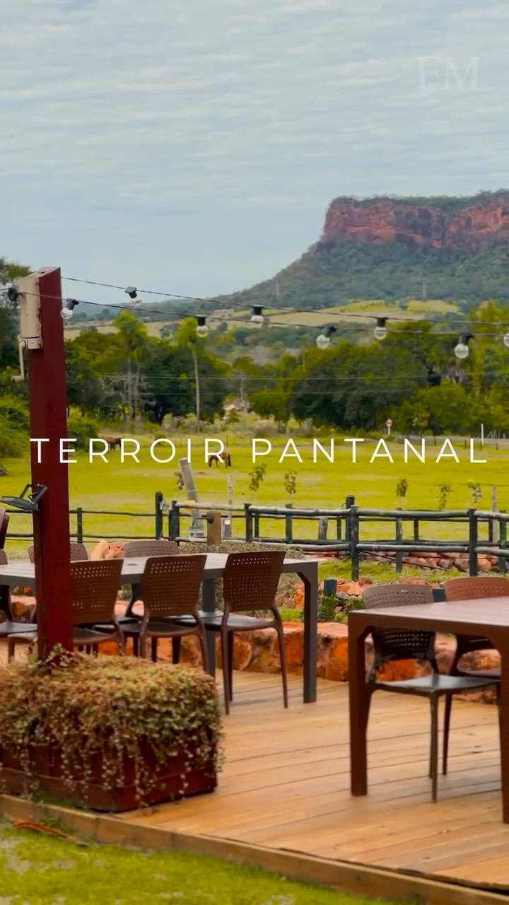 FTX no Coração do Pantanal: Lançamento Imobiliário que Une Luxo e Natureza.